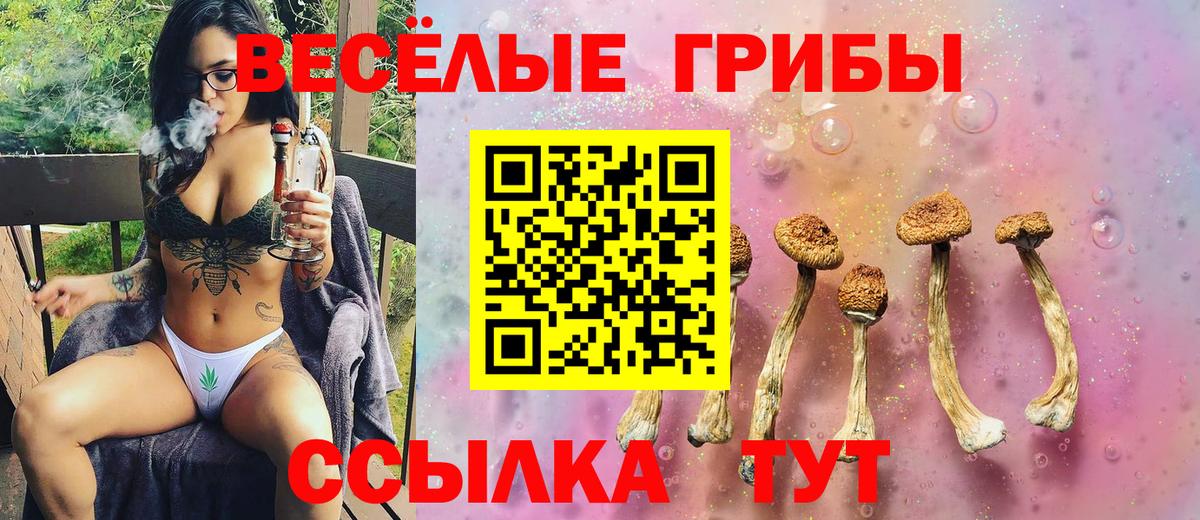Псилоцибиновые грибы мицелий Десногорск
