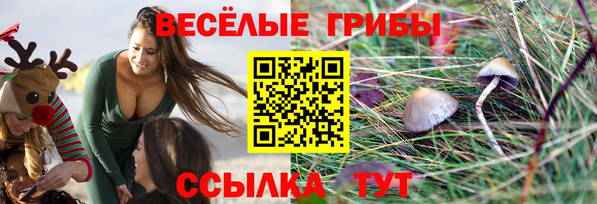 Псилоцибиновые грибы прущие грибы  Вход с VPN  Десногорск 